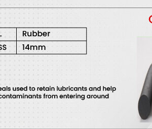 Oil Seals